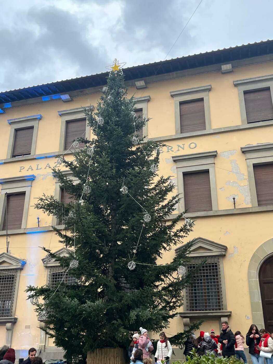 Montemignaio, il paese dell’albero di Natale si racconta attraverso Andrea Baggiani, uno dei produttori