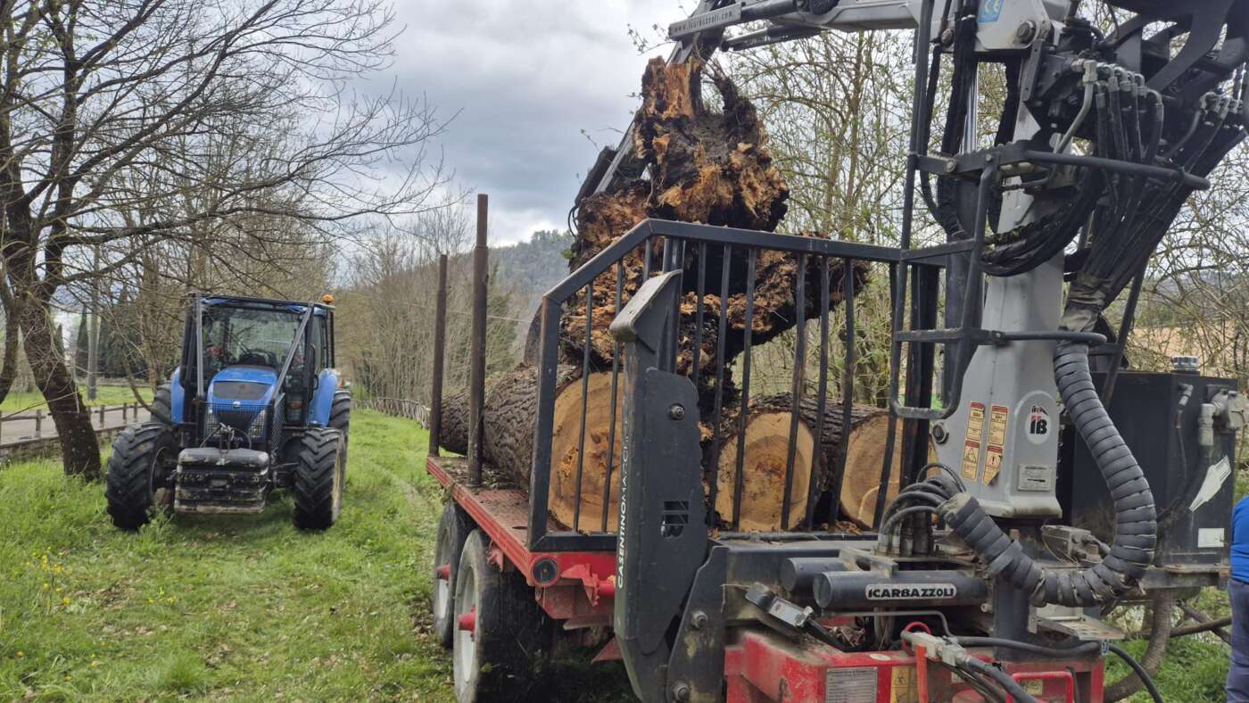 alberi abbattuti vento (1)