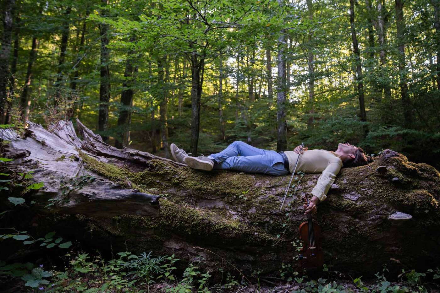 Parco Foreste Casentinesi - Renato Torre, Armonia della Bellezza (1)