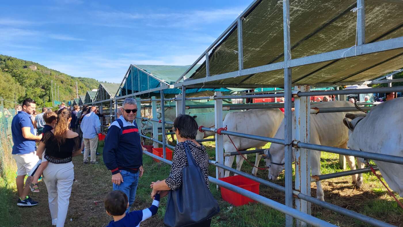 Subbiano, la Mostra Campionaria Zootecnica compie vent’anni: domenica 6 settembre una grande fattoria nel cuore del paese