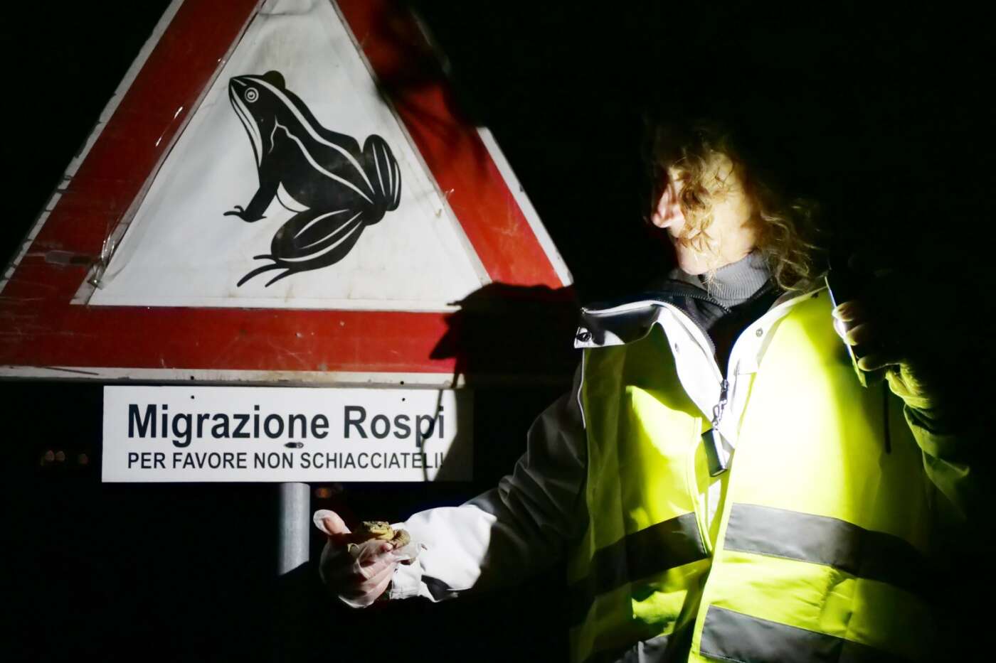 Bufo Bufo -cartello con rospo