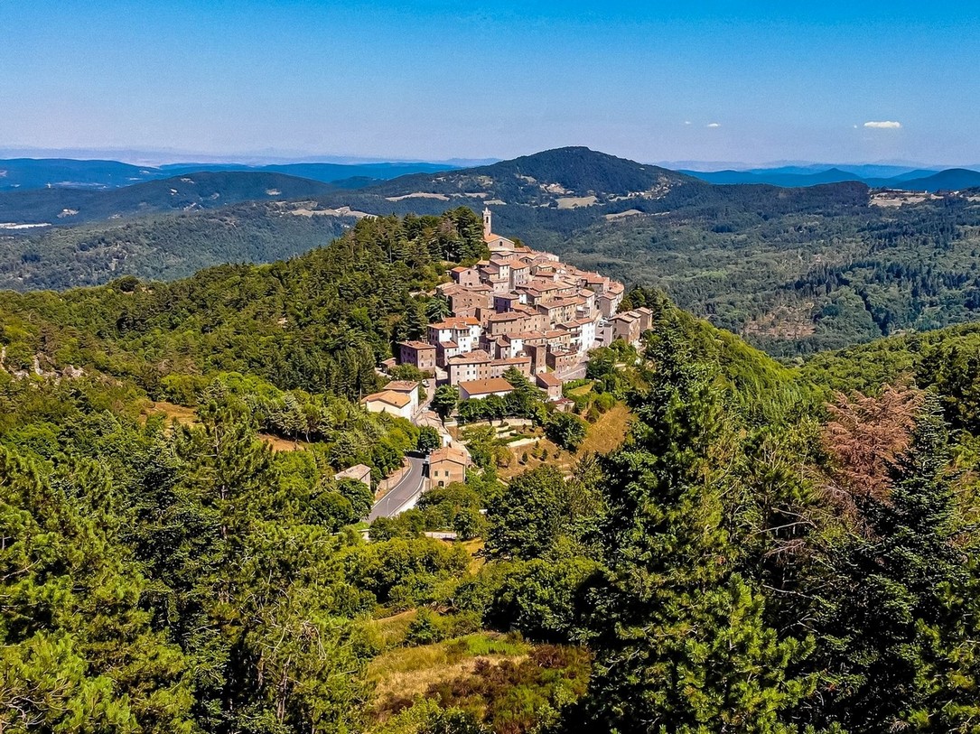 Montieri