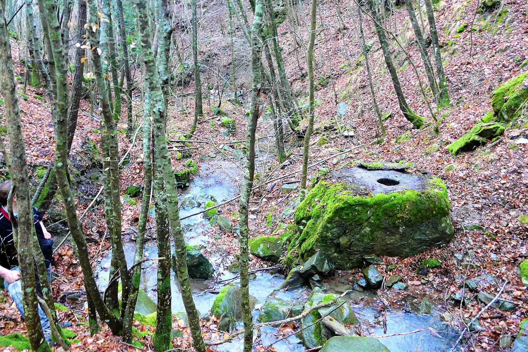 Musei ed Ecomusei del Casentino - Escursione Chitignano (1)
