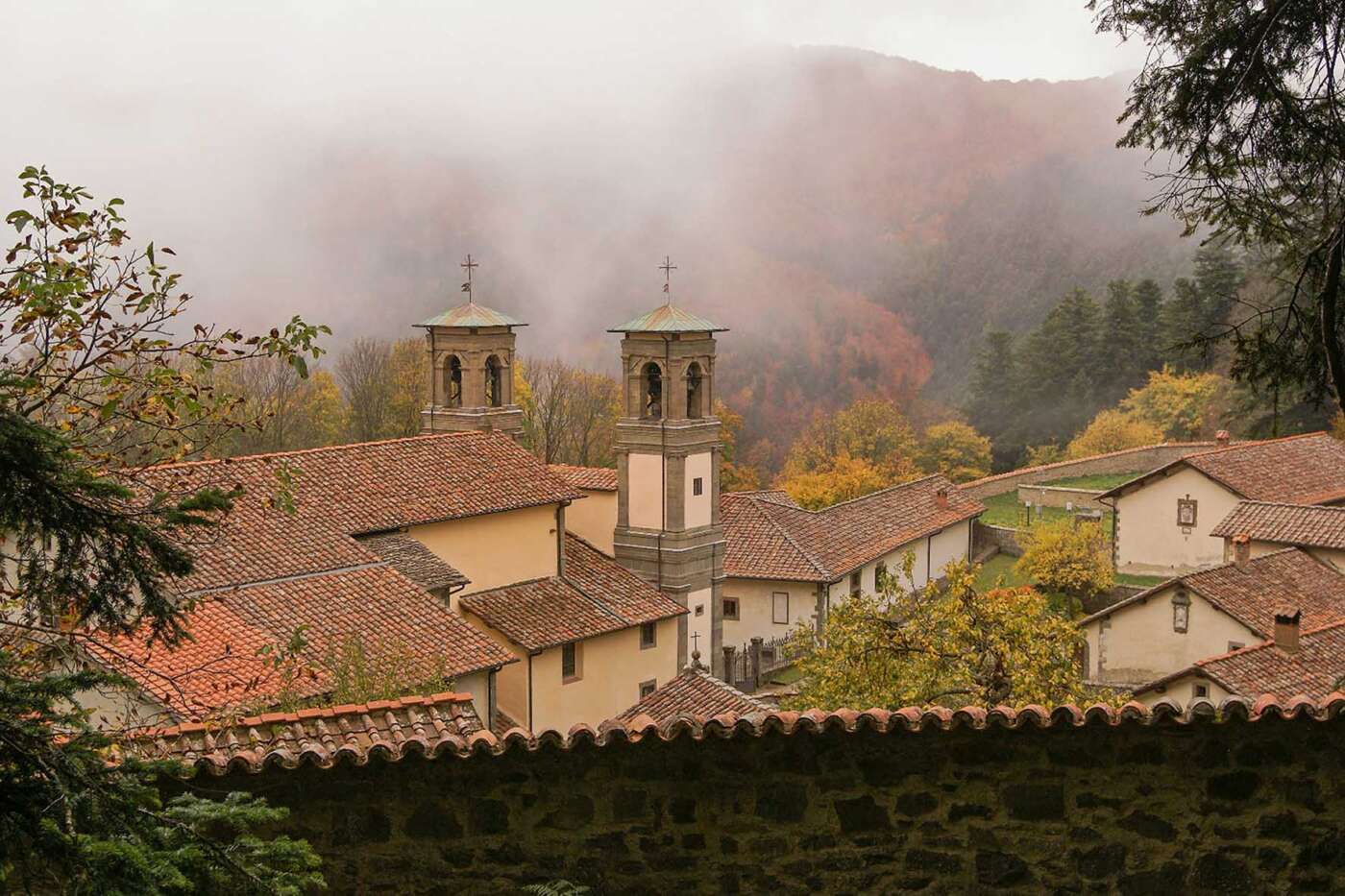 Parco Foreste Casentinesi - Camaldoli (1)